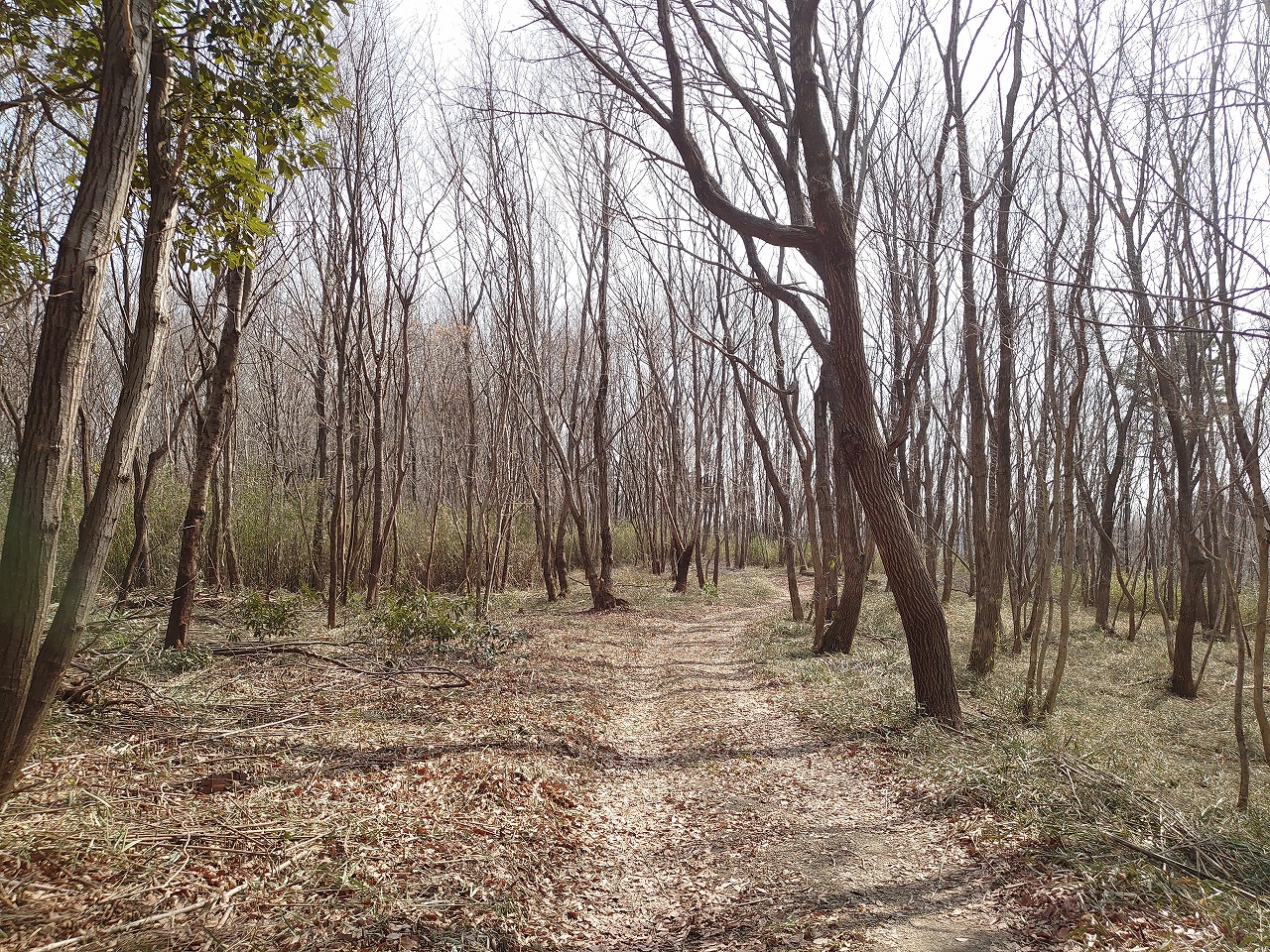 【売地】藤岡市藤岡 山林